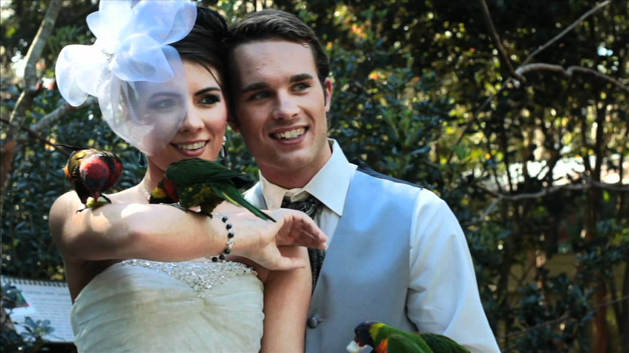 Peacock Wedding