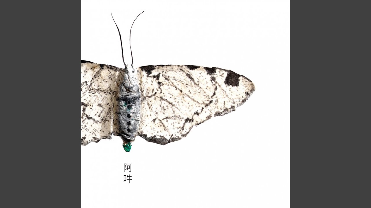 Watch Himitsu on YouTube Watch Himitsu on YouTube