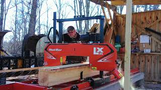 Famous First Time Cutting Pine on the Sawmill Wealth