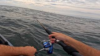 The Fishing Is HOT In RI! Chasing Epic Blitzes