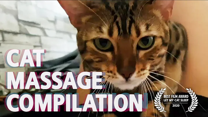 Watch the video about Bengal cat massage compilation 1 - [short film] Why does my cat knead me?