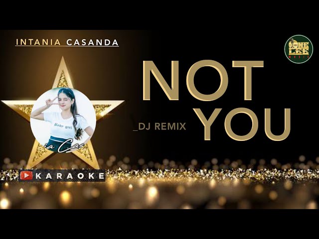NOT YOU KARAOKE - Intania Casanda // Dj Remix Alan Walker ( Cover) class=