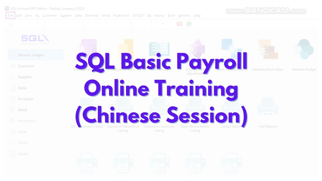SQL Basic Payroll Online Training (Chinese Session) - Recorded Video 20/6/25