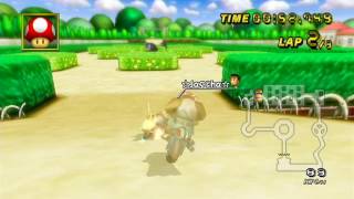 【MKW】DS Peach Gardens Comparison: Darragh vs Jascha