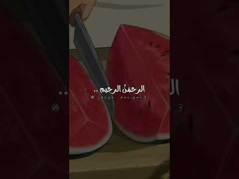 ذكريات جميله أليس كذالك