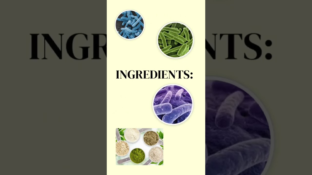 Is ProDentim the Secret to Perfect Teeth? Here’s What You Should Know