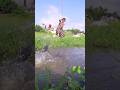 Fishing Video | village girl hook fishing video | #shorts #fishing #hookfishing #shortvideo #viral
