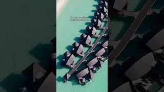 NO ALCOHOL IN THE MALDIVES (Local Islands)