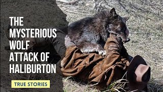 ATTACKED By Five Adult Wolves. Most Mysterious Wolf Attack Ever | Animal Attacks | True Stories