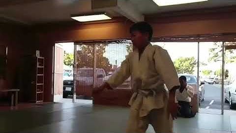 Hayward Aikido 7th kyu test