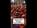 Buddhist monks about to finish 15-week "Walk for Peace"