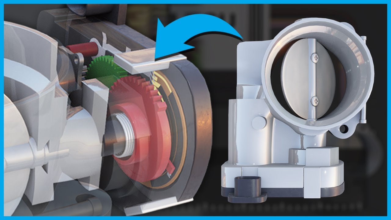El Acelerador Electrónico explicado en 3D