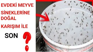 Kucuk uvez sinegi nasil yok edilir?