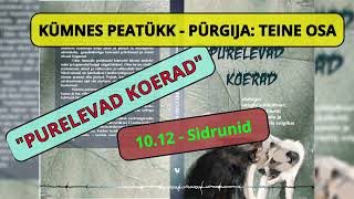 10.12 - Sidrunid - Audioraamat