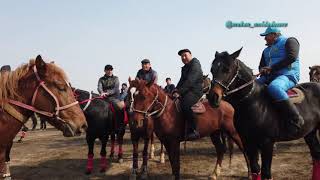 картинка: Даурен қажы атымыздың 73 жас мерей тойына арналған көкпары 24 02 2022 Асар Көкпары