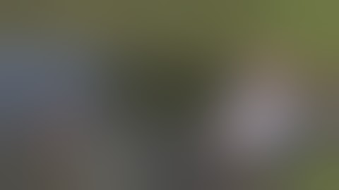 The Ultimate Laugh Challenge - Funny Fails Compilation of Week 1 August 2017 - Fail Factory