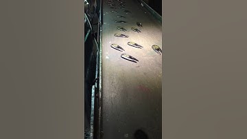 Divot Tool Pad Printing