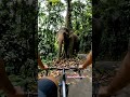 #elephant #bike