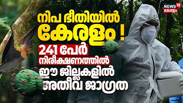 നിപ ഭീതിയിൽ കേരളം ! 241 പേർ നിരീക്ഷണത്തിൽ; ഈ ജില്ലകളിൽ അതീവ ജാഗ്രത | Nipah Virus Kerala 2025