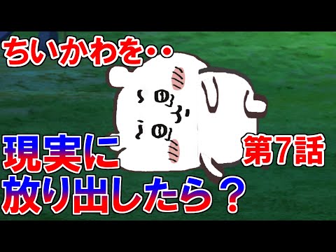 Chiikawa has to survive the harsh reality on his own. Episode 7