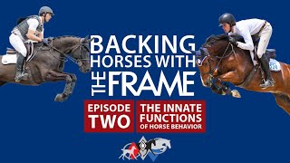 Backing Horses with The Frame | The Innate Functions of Horse Behavior