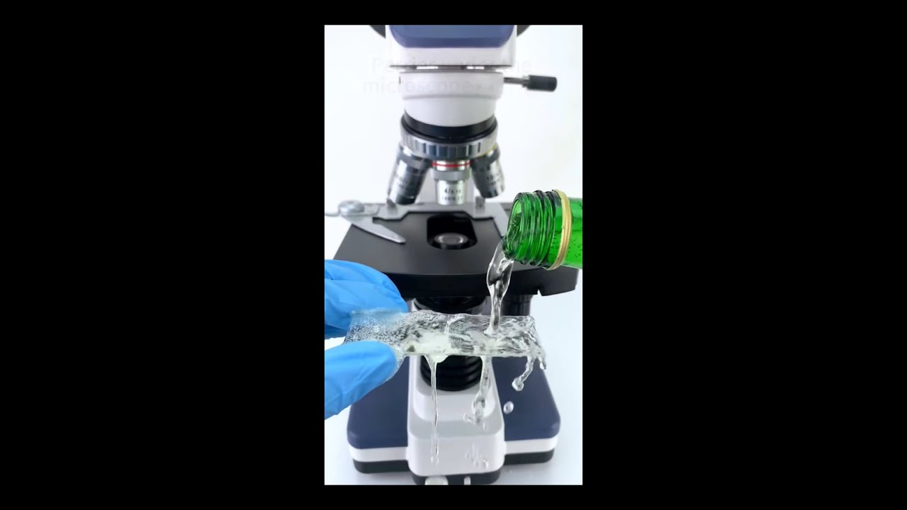 Microcosmos Marvels: Exploring Hidden Bacteria in Perrier Under Microscope! 💧🔬| Hidden World 2024