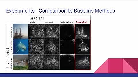 CAP6412 21Spring-Smoothgrad: removing noise by adding noise