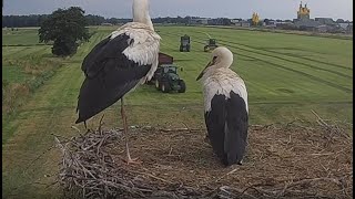 Haastig Hooien in Vjenne - Code Oranje  voorspeld !