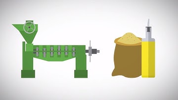 Soybean Crush