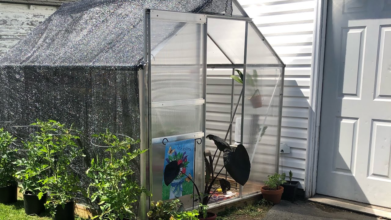 Harbor Freight Greenhouse 6x8/Orchid Greenhouse YouTube
