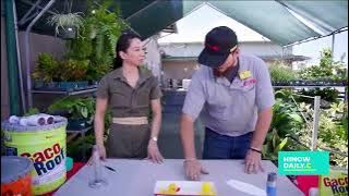 GACO Roofing Demo with Natalie from HiNow Daily | Learn How to Patch & Repair Your Roof
