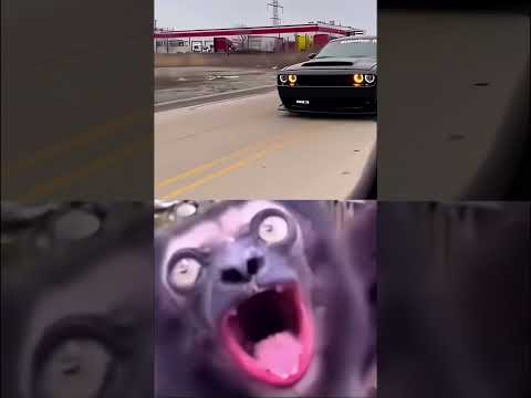 Car Sounds Like Vacuum Cleaner