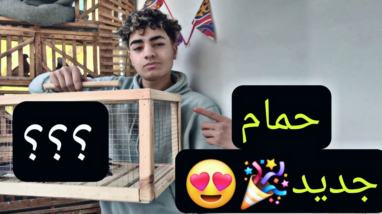 حمام جديد للنش تعالو شوفو جبناه اي وهنعمل معاهم اي 😍🫨