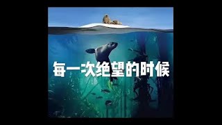 201602 每一次绝望的时候40038