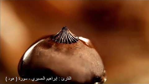 القارئ  إبراهيم العسيري   سورة   هود