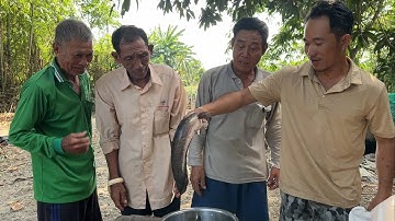 Cá Lóc Đồng Nướng Rơm Cuốn Lá Sầu Đâu Món Ăn Dân Dã Đậm Nét Quê Miền Tay.GLQ#1470