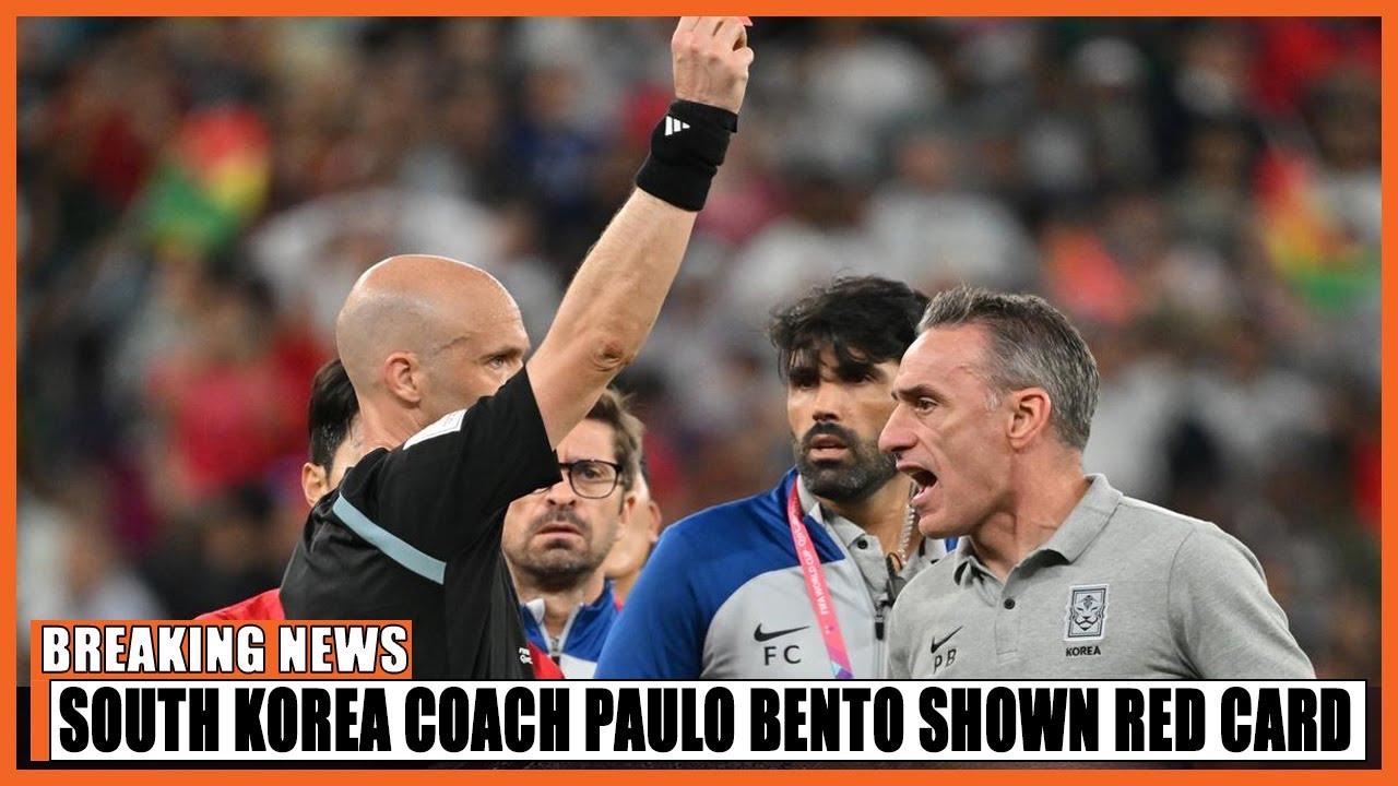 South Korea coach Paulo Bento shown red card after team's defeat to Ghana -  YouTube