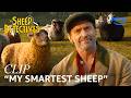 Hugh Jackman Introduces His Flock in The Sheep Detectives | Clip | Prime Video