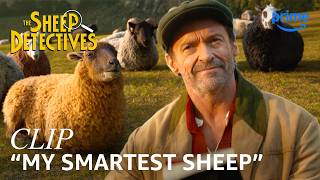 Hugh Jackman Introduces His Flock in The Sheep Detectives | Clip | Prime Video