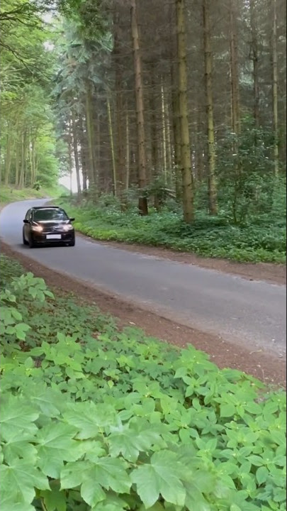 🔥 LOUD STRAIGHT-PIPED VW Up! 🚗🔊 #youtubeshorts #shorts #trending