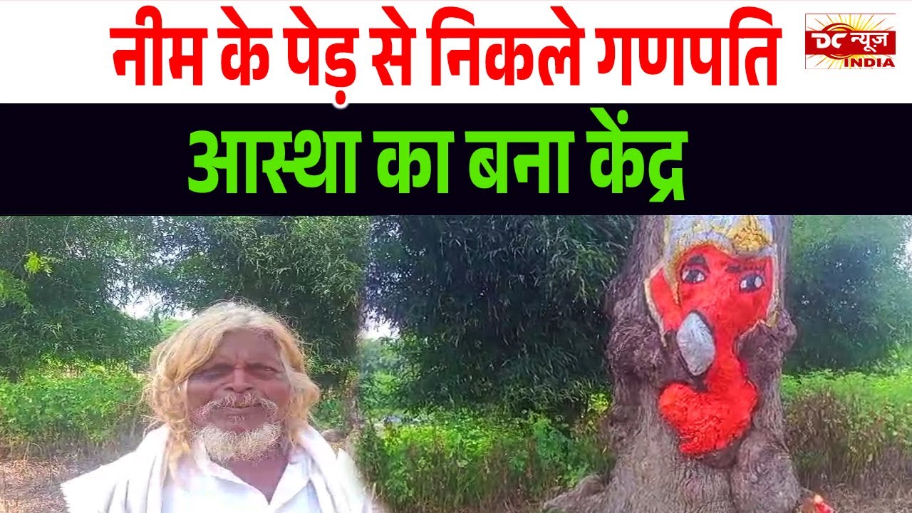 Neem tree became the center of faith and devotion | DC NEWS INDIA |