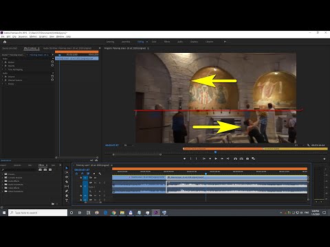 How to fix a Damaged Frame in a video? (Premiere Pro, Glitch)