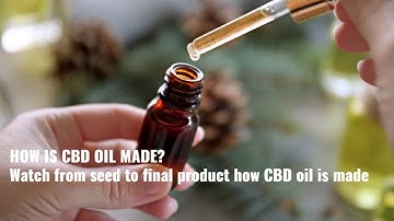 Learn how CBD oil is made from cannabis and hemp