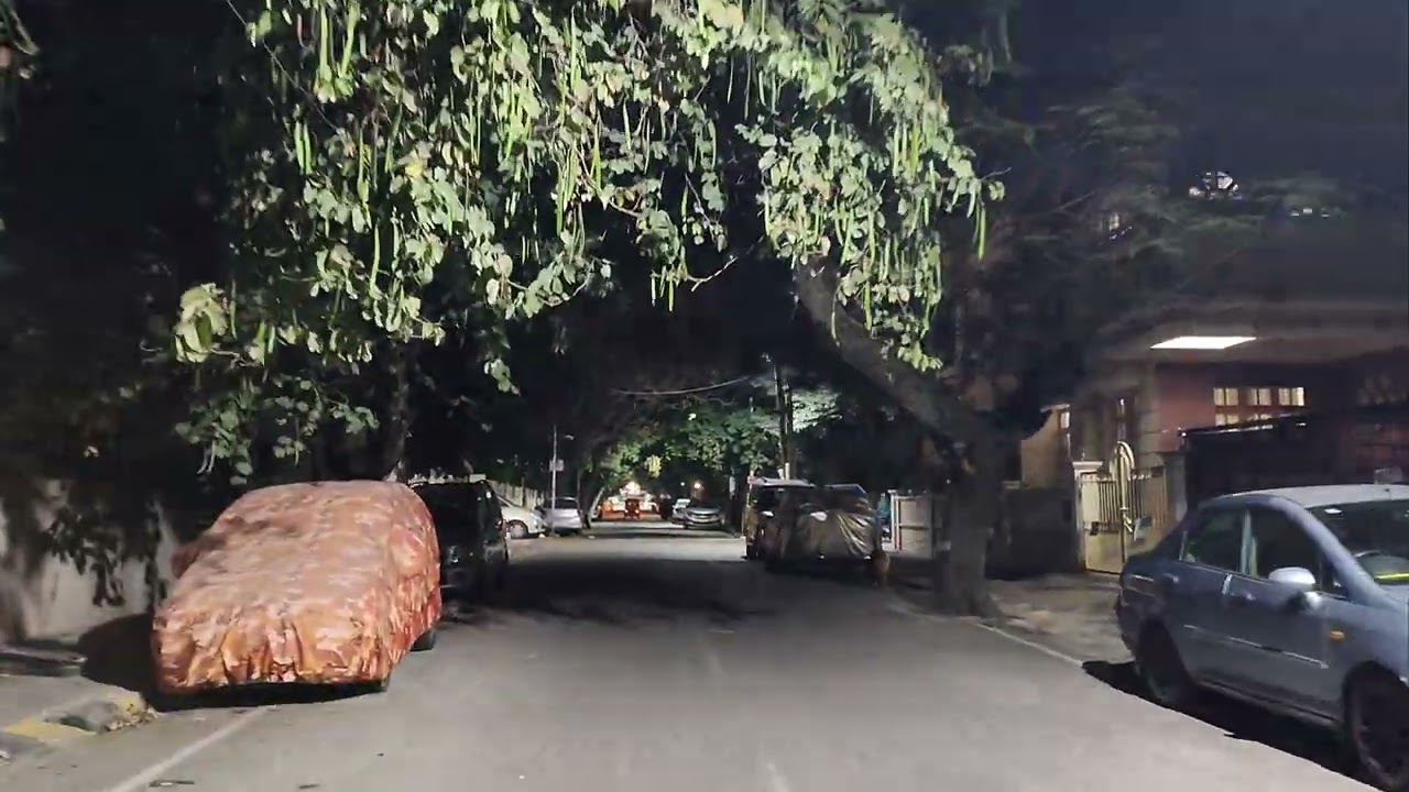 Silent Night Ride 🌙 Through Tree-Lined Roads 🚴‍♂️ 