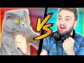 KEDİLOX VS RAİNLOX !! ZULA