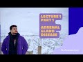المحاضرة الاولى/الجزء الاول/Adrenal gland disorders /المرحلة الخامسة /كلية الصيدلة