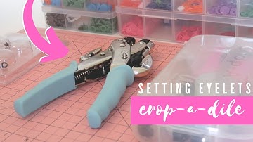 Crop A Dile | How to set an eyelet