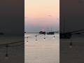 Remote Work in Thailand Looks Like This | Koh Tao Sunset