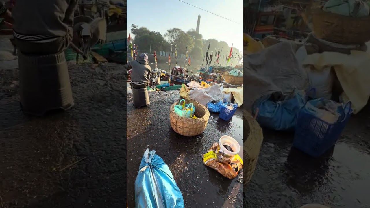 sassoon dock fish market