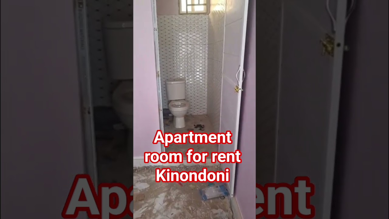 1bdrm Apartment in Kinondoni for rent